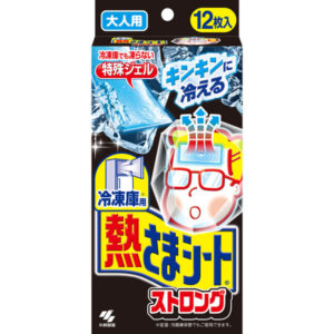 小林製薬 冷凍庫用 熱さまシートストロング 大人用 1箱（12枚入）